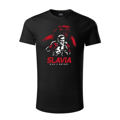 sila z natury.jpg